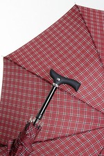 Gehstock und Regenschirm