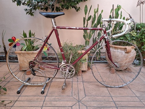 Bianchi campione del - bianchi,