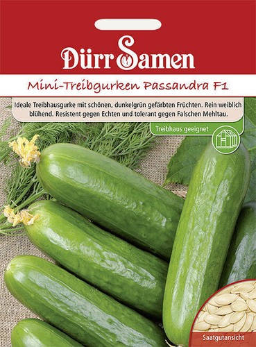 Mini treibgurken passandra - mini-treibgurken, f1