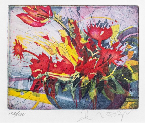 Bernhard vogel amaryllis - bernhard,