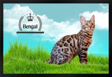 Fußmatte Schmutzfangmatte Katze Rassekatze Bengal F1210	