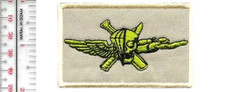 Force RECON US Marine Corps