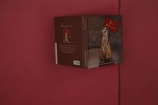 352396 Anna Niemann YES, YOU