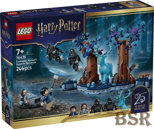 Lego harry potter 76475 - harry,