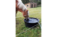 Tränke Weidetrog XL Bottich