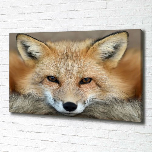 Leinwandbild kunst druck - leinwandbild, kunst-druck