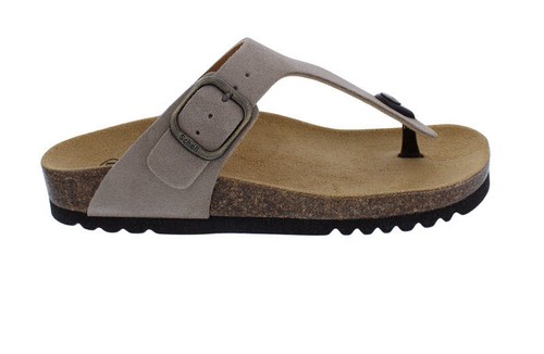 Scholl zehensteg pantolette - scholl, zehensteg-pantolette