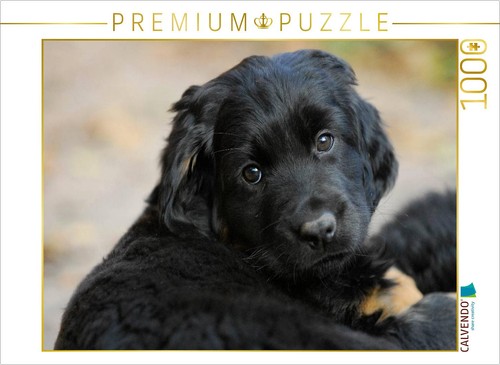 Calvendo puzzle hovawart - calvendo,