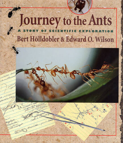 Journey the ants a - journey, to