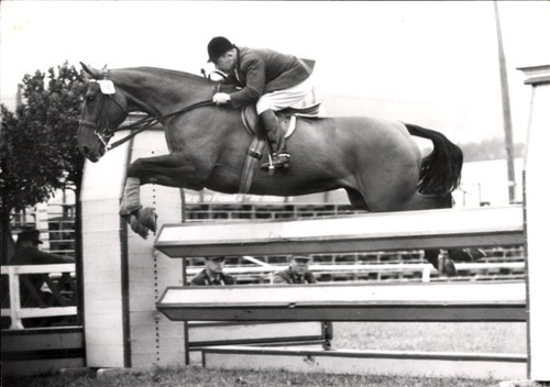 Foto springreiten sprung - foto,