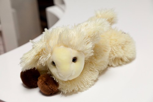 Schaf kuscheltier stofftier - schaf,
