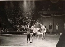 Zirkus Artisten Artistik