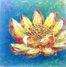 Water Lilies in a Pond