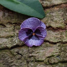 Brosche Natur Stiefmütterchen