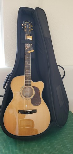Cort gold oc8 natur - cort,