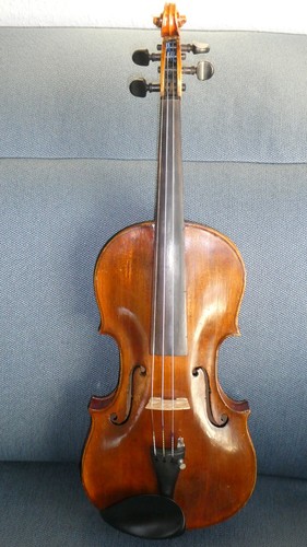Violine klotz geige - violine, 4.4