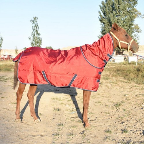 Pferdedecke winterdecke - pferdedecke,