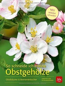 Schneide ich meine - so,