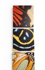 Bild Set 3 er Ikea Pjätteryd