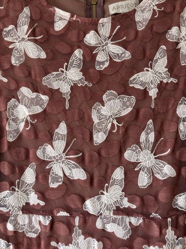 Apricot kleid rosé mit - apricot,