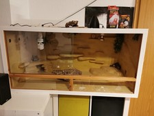 Selbstgebautes Terrarium. Mit Beleuchtung  Zubehör Länge 120Höhe 60 Breite 60 cm