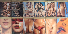 12 x Playmate Kalender