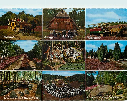 Gruss aus der lüneburger - ak,