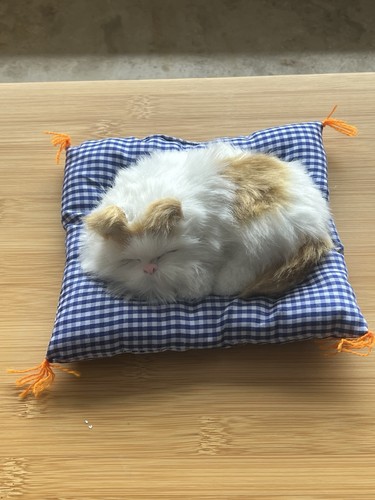 Schlafende plüschkatze mit - schlafende,