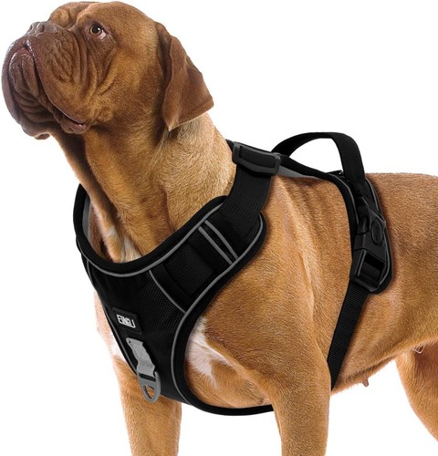 Hundegeschirr für große - hundegeschirr,