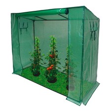 Tomaten Gewächshaus