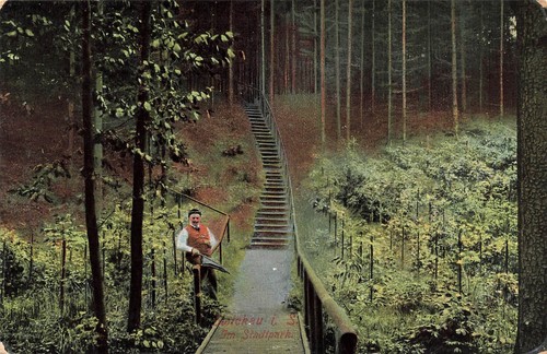 Zwickau waldtreppe - (08056),,