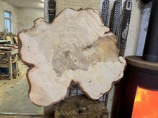 Baumscheibe, Holzscheibe