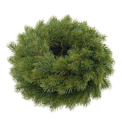 Gasper adventskranz tanne - adventskranz,