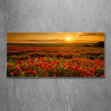 Acrylglas-Bild Wandbilder