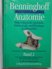 Benninghoff anatomie - benninghoff,
