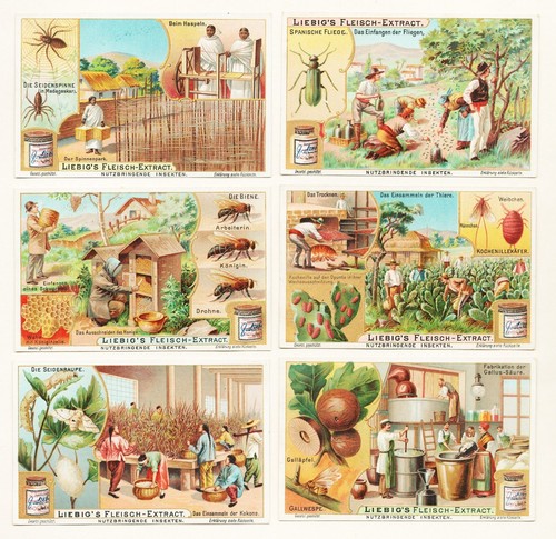 Liebig sammelbilder - liebig,