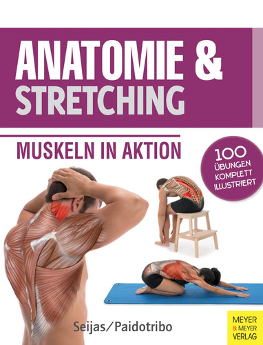 Anatomie stretching - &,