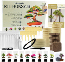 Bonsai Anzuchtset 10 Bäume
