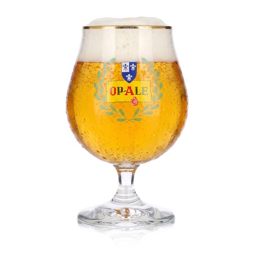 Ale bier glas pokal - bier,