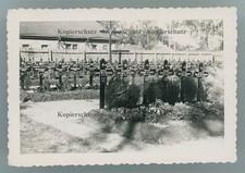 9536a❚ ORIGINAL Foto