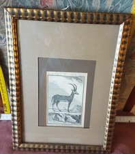 Bild Kunst Stahlstich