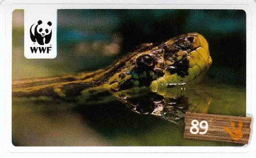 Rewe wwf tier - rewe,