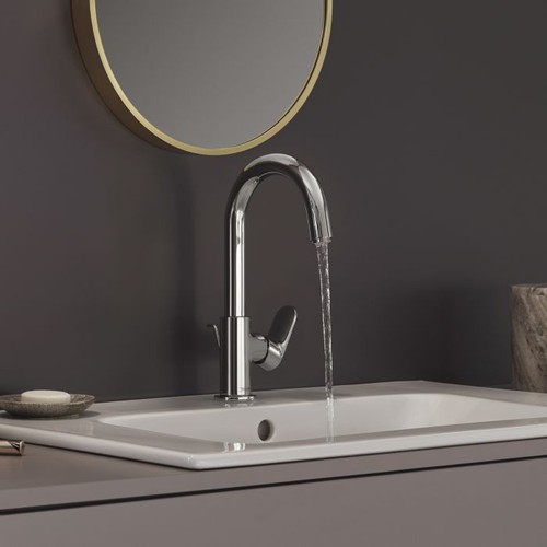 Hansgrohe vernis blend - hansgrohe,