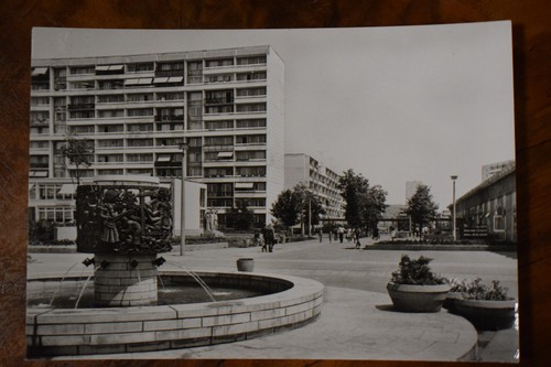 Halle saale - ak,