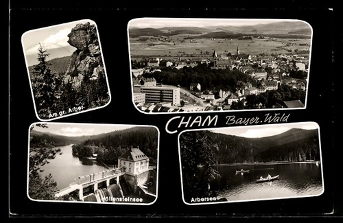 Cham bayer wald - /bayer.,