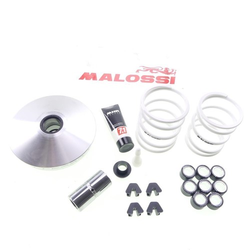 Variomatik malossi multivar - malossi,