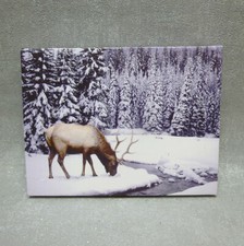 Weihnachtsbild Hirsch