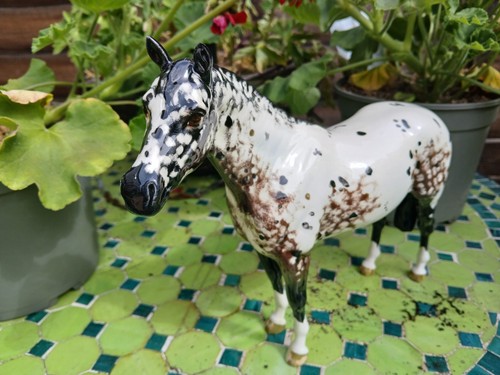Beswick appaloosa hengst - appaloosa, 1