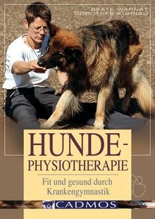Hunde physiotherapie fit und - fit,