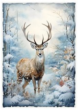 8er SET-Scrapbooking